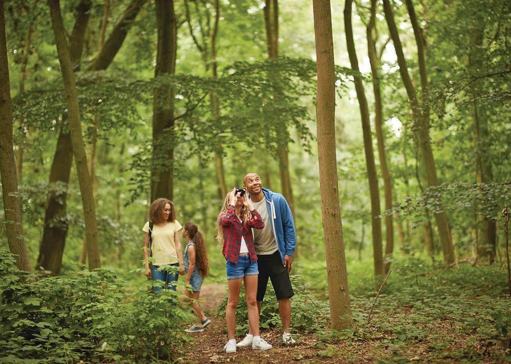 Wigbay Holiday Park Kirkcolm Екстер'єр фото